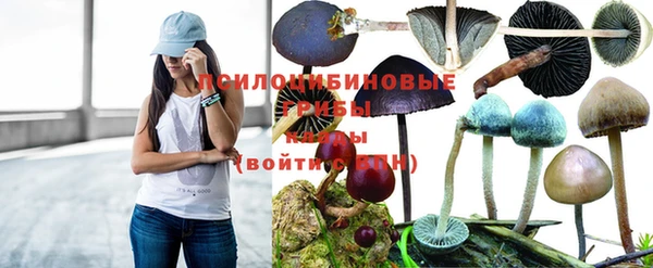 прущая мука Баксан